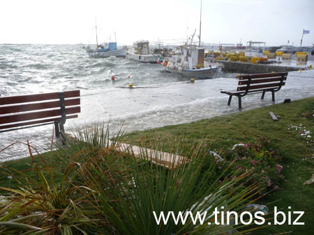 thalassa 126